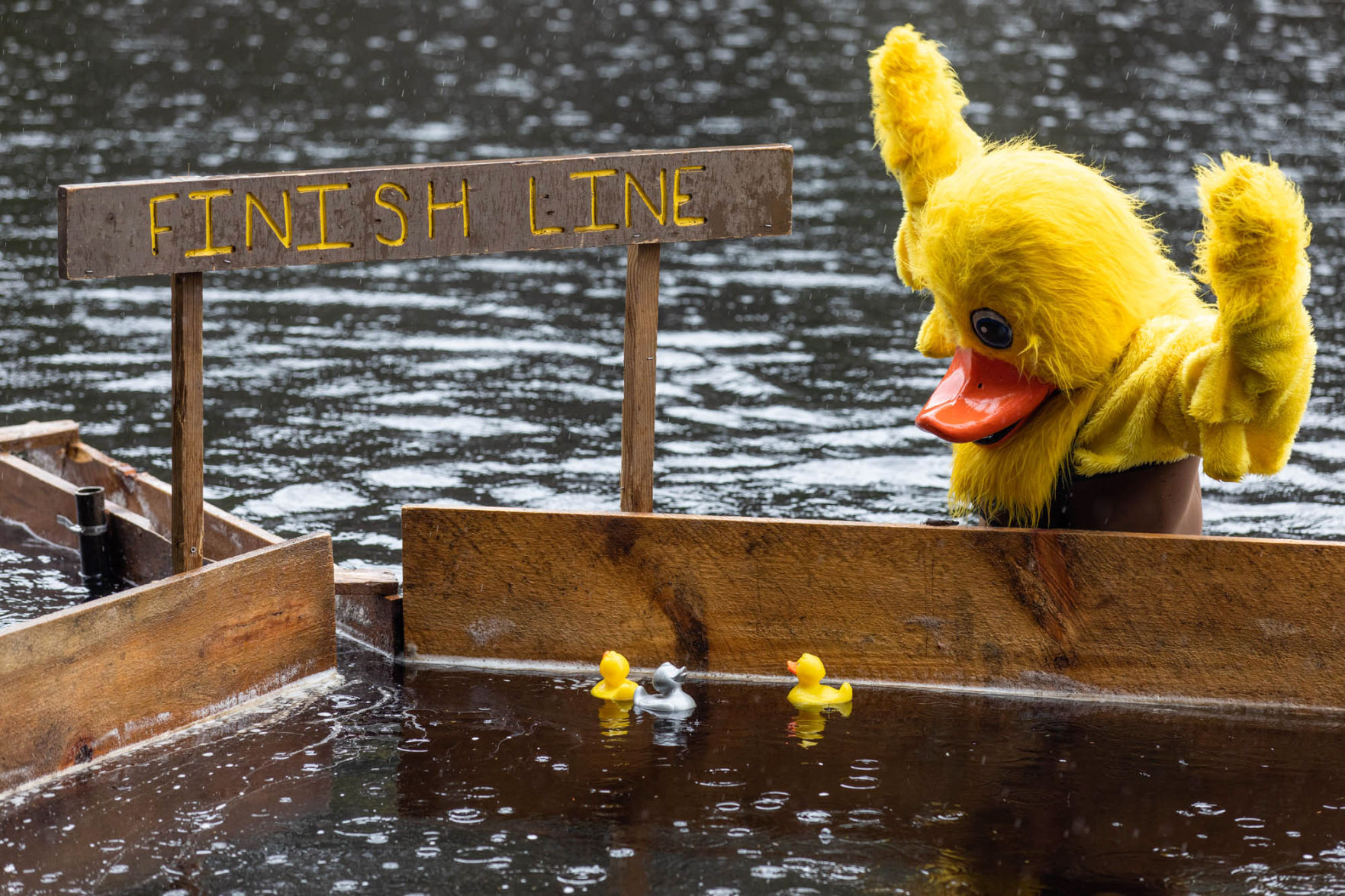 0427_wdl_ducks_SS1.JPG